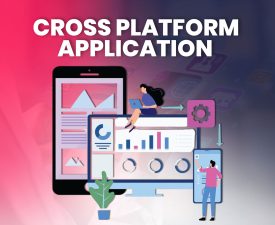 Cross-Platform